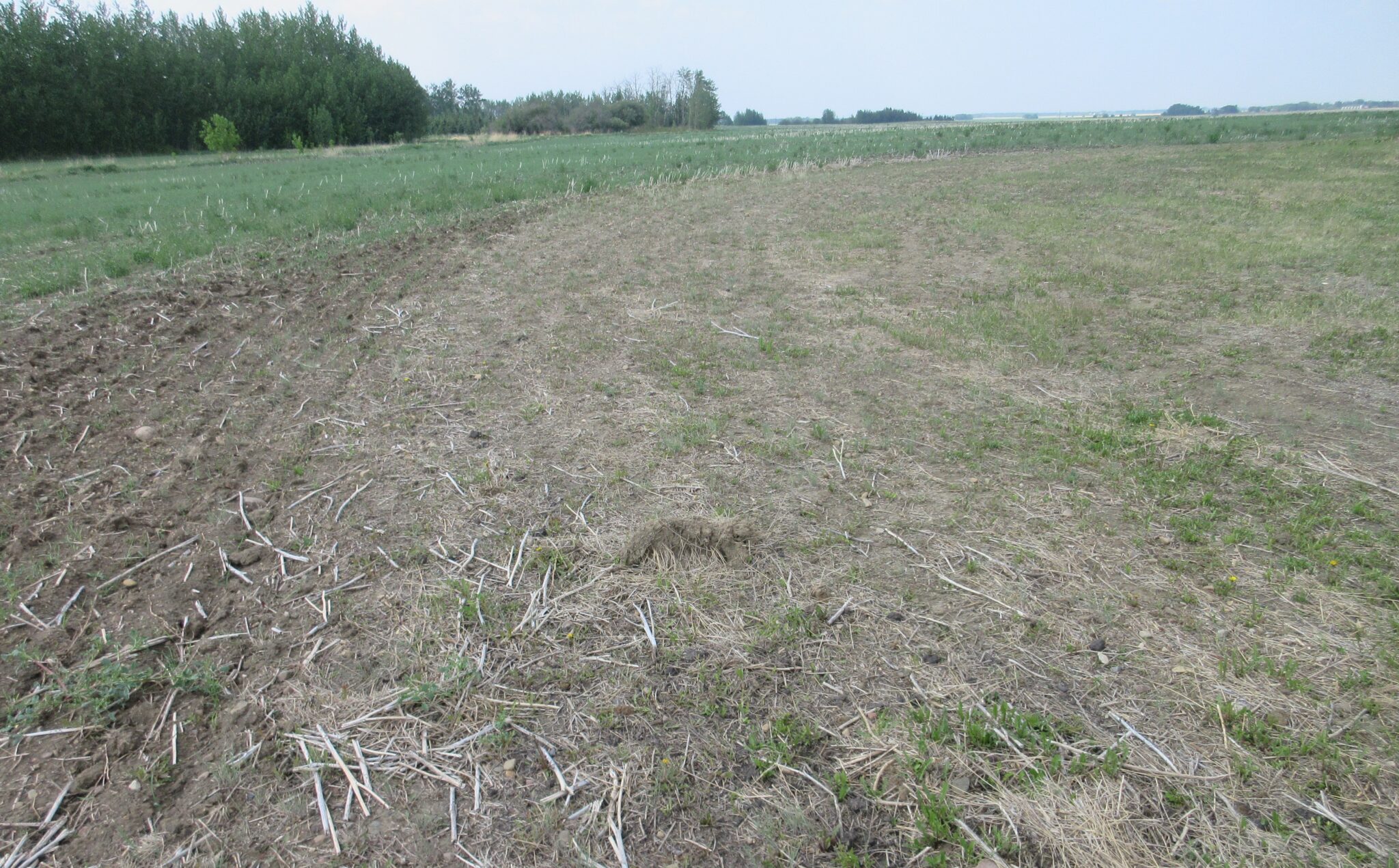 Looking Northwest on West Side of Tear Drop
